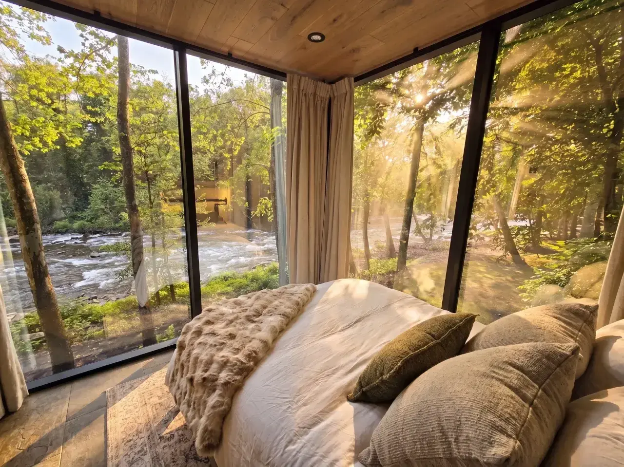 The Canopy