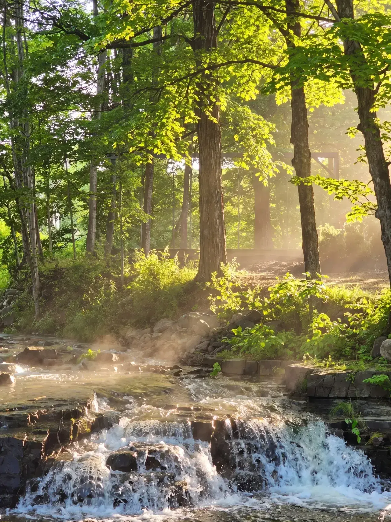 The Cascade