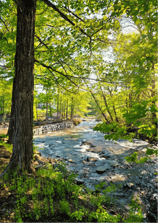 Riverfront access